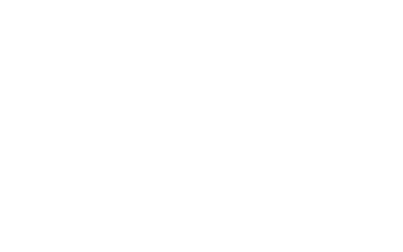 logo_felita_CV+SEM_FUNDO